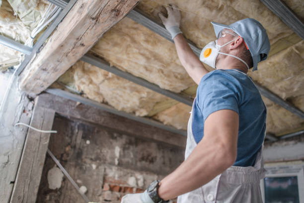 Best Blown-in Insulation in Palmview South, TX
