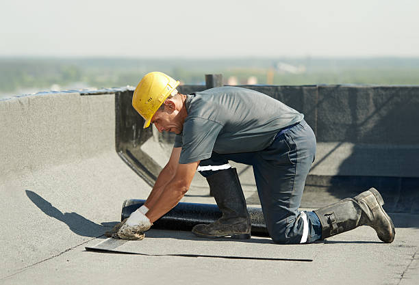 Professional Insulation Contractor in Palmview South, TX