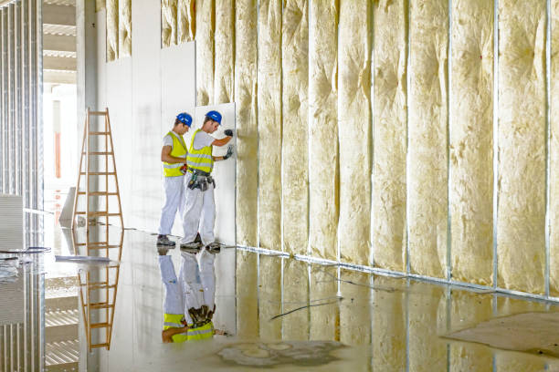 Best Spray Foam Insulation in Palmview South, TX